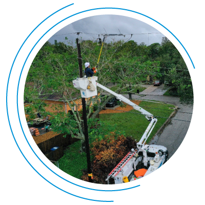 A diverse group of people works in Florida’s globally connected ecosystem